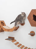 Wall Cat Shelves Wood Cat Wall Shelves Cat Furniture