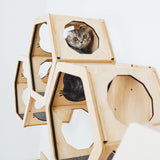 Wall Cat Shelves Wood Cat Wall Shelves Cat Furniture
